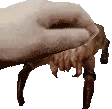petLamarr emote