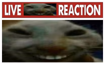 livexddreaction emote