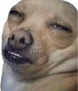Dumbass emote