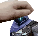 PETTHEOMEN emote