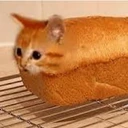Bread_Cat emote