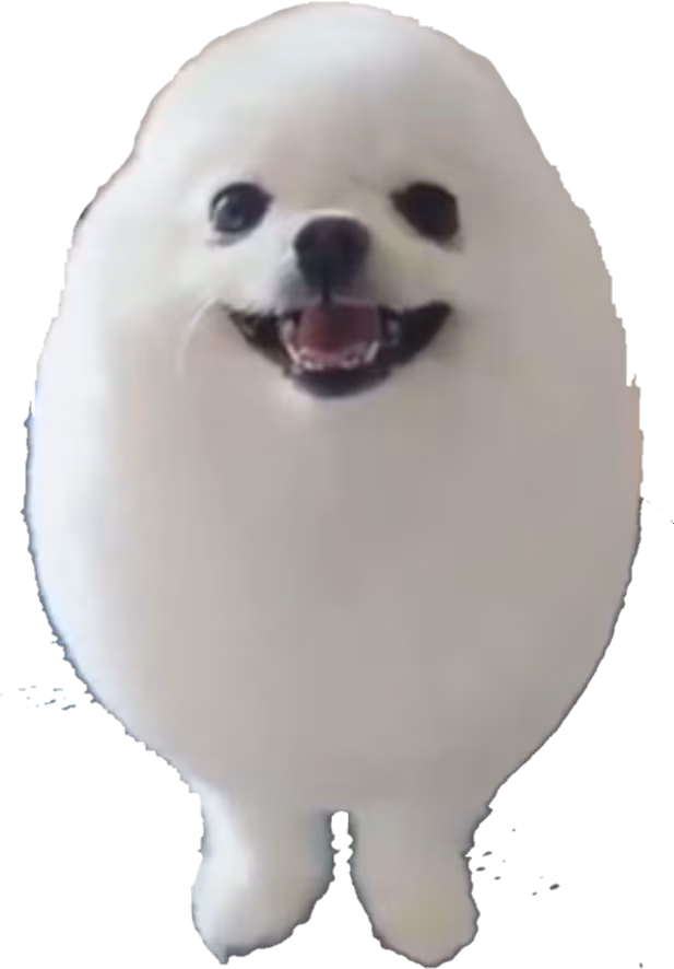 egg_dog emote