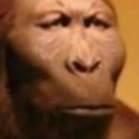 SERIO emote