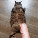 NomNomNom emoji
