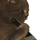 36_KittenShank emote