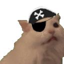 MYAAARbutWithPirateHat emote