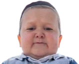 HasbullaLookingAtYou emote