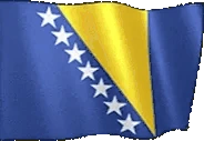 flagBosniaHerzegovina emote