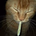 ZazaCat emoji