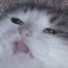 CE_Slumped2 emote