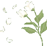 FlowersAndPetals emote