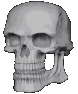 skull_butidk emote