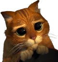 CuteStaringPussInBoots emote