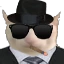 Mafia_bruhcat emote