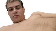 fatOgre emote