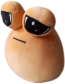 Baby_Pou emote