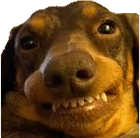 DogTeefSmile static emote