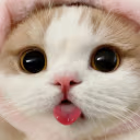 yip emote