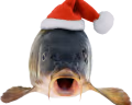 ChristmasFish emote