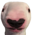 Walter5Head emote