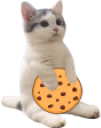 catsittingverycomfortablewithcookie emote