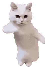 cat_dance emote