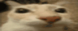 intro emote