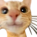 333 emote
