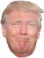 trumpsmug emote