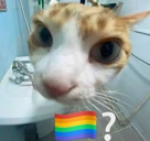 gay static emote