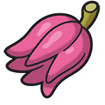 KasibBerry emote