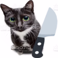 knifecat emote