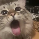 bah emote