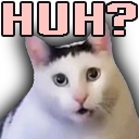 HuhCat emoji