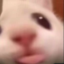 BLA emote