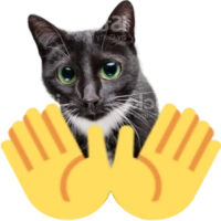 openhandscat emote