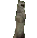 ccc40ccc emote