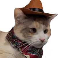 cat_cowboy emote