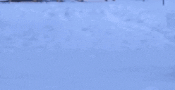BabkaWalk animated emote