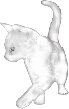 Cat emote
