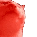 HYPERCATJAM emote