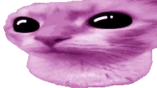 puuh emote