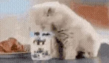 KKomrade emote