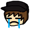 TDG_Cries emote