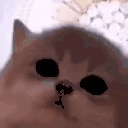 tuctuc emote