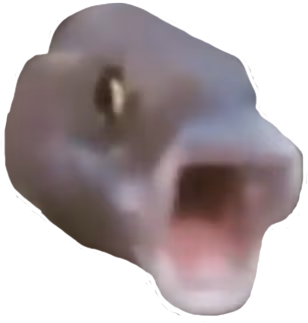 pogfish_remastered emote