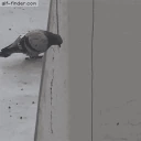 Jump emote