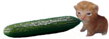 cucumbert emote