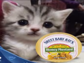 gaycatwithsweetbabysrayhoneymustart emote