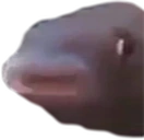 MMMM emote
